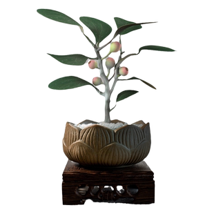 禅意小盼菩提树盆栽植物室内桌面四季客厅观叶办公室绿植好养盆景