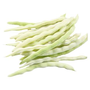 九粒白芸豆种子孑秋摘不败豆角种籽大全白不老四季豆种蔬菜豆角苗