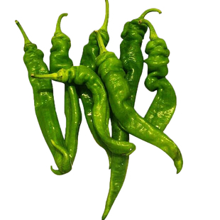 金泰猪大肠螺丝椒种子孑菜籽高产羊角椒超辣辣椒种籽蔬菜尖椒籽种