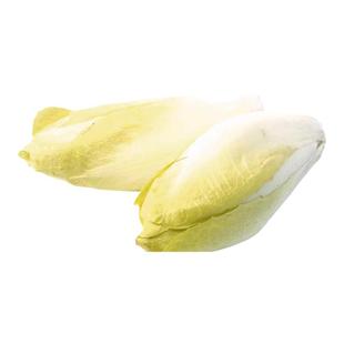 【老一生鲜】新鲜蔬菜新鲜 玉兰菜 金玉兰菜 苦白菜 500g