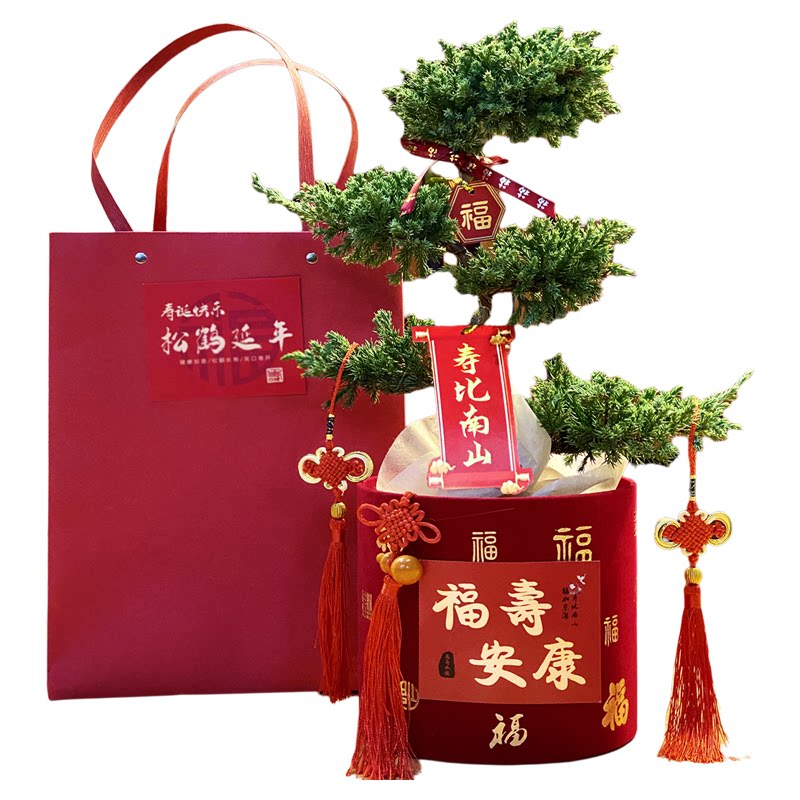 五层塔松盆栽不老松盆景祝寿礼物老人生日80大寿乔迁绿植松鹤延年