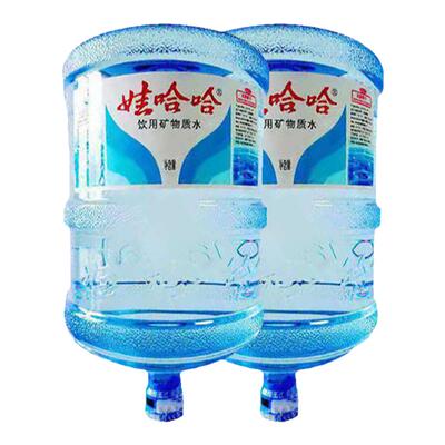 桶装水矿泉水19L送水上门升两桶