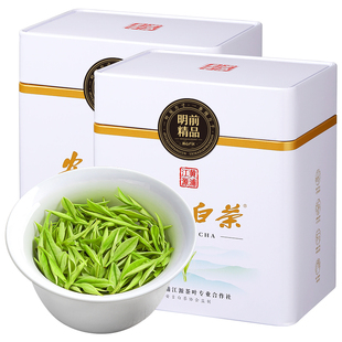 尊品安吉白茶2025新茶特级绿茶明前头采芽茶叶礼盒装250g正品春茶