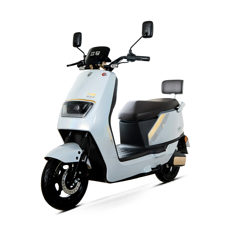 立馬H2電動(dòng)車長續(xù)航電動(dòng)摩托車踏板車成人代步電瓶車高速電動(dòng)車