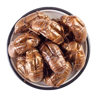 广西野生蝉蜕 蝉脱中药材 蝉蜕壳蝉壳蝉衣蝉皮蝉退虫退知了壳皮