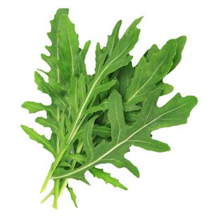 芝麻香菜种籽有芝麻香味小青菜秋冬季阳台种菜盆栽四季蔬菜种子孑