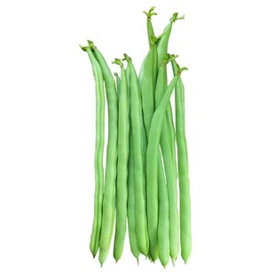 早熟无架矮生地豆种子不搭架四季豆籽阳台小院可盆栽种植蔬菜种子