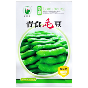 毛豆种子春季蔬菜种籽早熟大粒毛豆种大青豆农家高产大荚黄豆毛豆