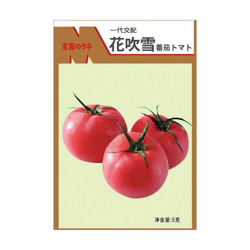 武藏野口感型粉果中型番茄种子