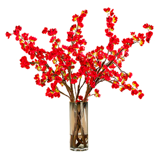 红梅干枝水培鲜切枝条雪柳枝珍珠李室内水养花卉桃花支腊梅花盆栽