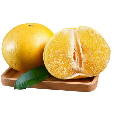 黄皮葡萄柚青皮葡萄柚组合装纯甜