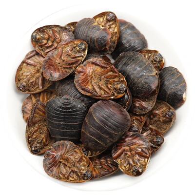 土鳖虫广西土元新货水洗