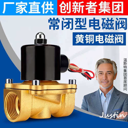 常闭铜线电磁阀AC220V 水阀气阀DC24VDC12V 2分4分6分1寸控制开关