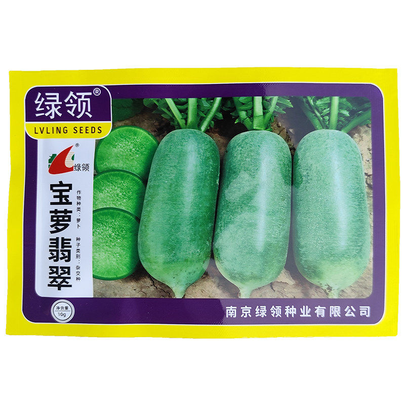 水果青萝卜种子籽脆甜多汁不糠心