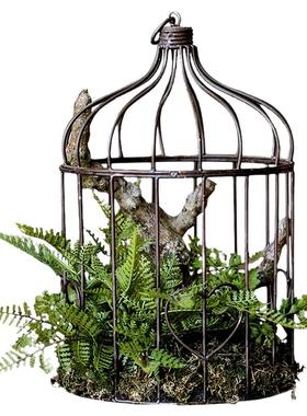 掬涵仿真植物微景观蕨叶陈列花器