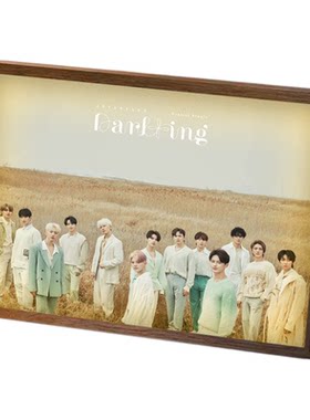 seventeen周边灯光画摆件生日礼物手办吧唧立牌相框明星小夜灯
