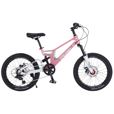 RALEIGH兰令儿童自行车