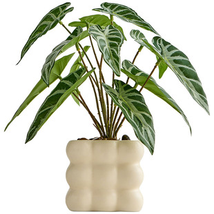 北欧绿植室内盆栽仿真办公室桌面摆件装饰盆景假花客厅高级感小众