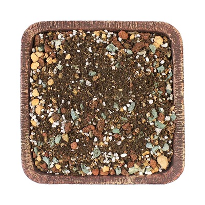 多肉植物营养土进口插换专用