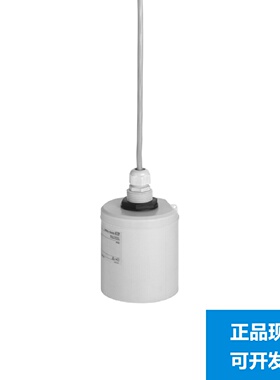 议价EH超声波液位计探头 FDU92-RG2A 恩德斯豪斯EndressHauser 现
