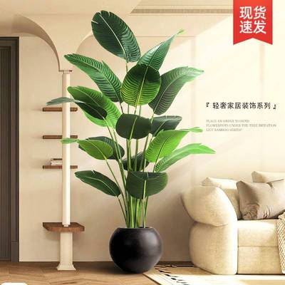 仿真绿植旅人蕉高级感客厅仿生绿植装饰摆件室内落地仿生绿植盆栽
