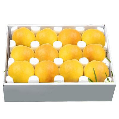 黄桃新鲜黄金蜜桃子水果