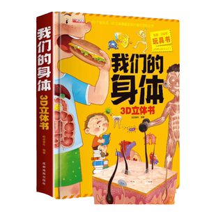 骨骼人体结构解剖模型器官仿真肌肉骨架骨头儿童男性女性生殖教具