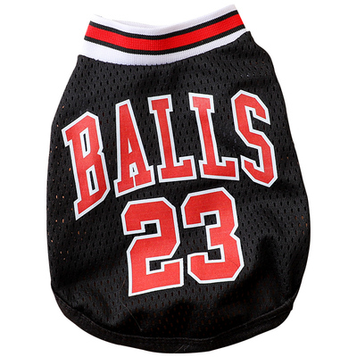 泰迪狗秋天的衣服透气