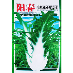 春湾花芽甜麦菜种子博白甜脆阳台盆栽庭院疏蔬菜农家唛菜种植籽孑