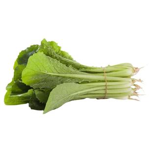 有机小白菜新鲜采摘绿叶菜小青菜农场当季时令自然健康无农残蔬菜