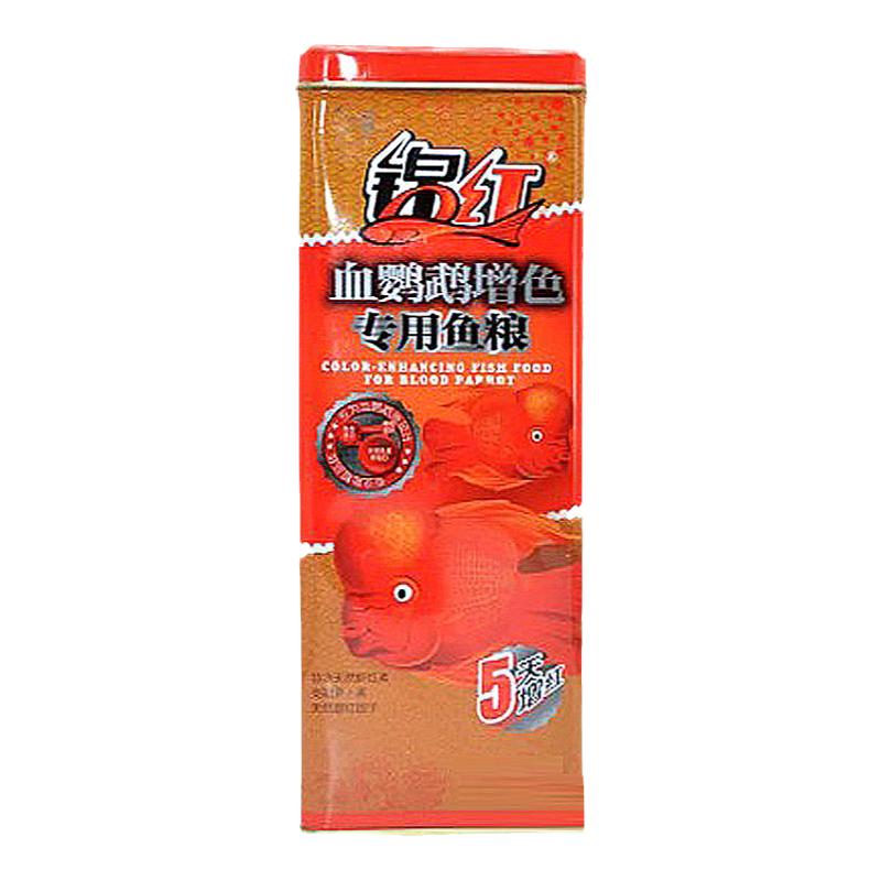 锦红血鹦鹉增红罗汉起头