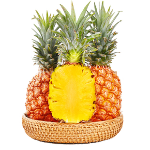 海南金钻凤梨新鲜水果10斤装手撕无眼凤梨特大果当季整箱树上熟