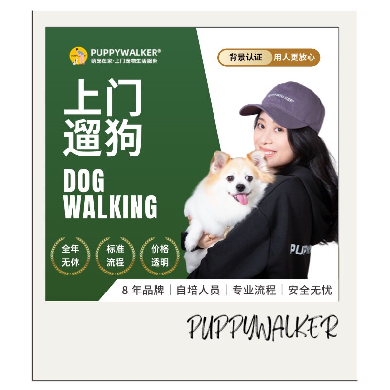 上门遛狗｜广州杭州多城市|萌宠在家|代遛弯宠物上门服务服务预约