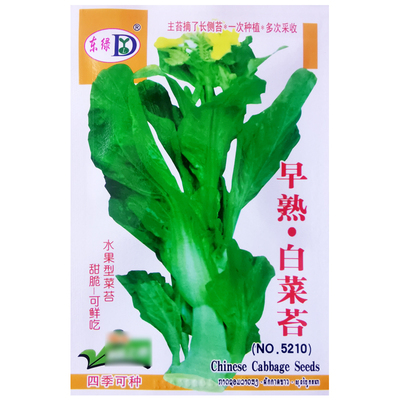菜心甜脆多芽种子早熟高产
