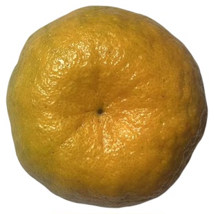 正宗福建永春芦柑应季新鲜孕妇水果整箱10斤礼盒顺丰现摘桔子柑橘