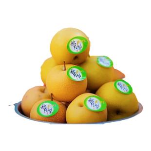 秋燥吃梨比冰糖还甜的秋月梨新鲜水果汁水多入口化渣现摘现发包邮