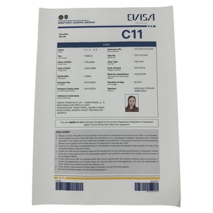 印度尼西亚·商务签证·全国送签·印尼商务签证电子签证60天印尼参展C11/C2/D2商务工作签雅加达巴厘岛旅游