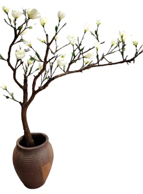 仿真白玉兰花树干树枝装饰