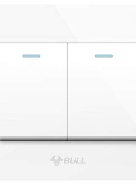公牛插座旗舰开关二开双开双控