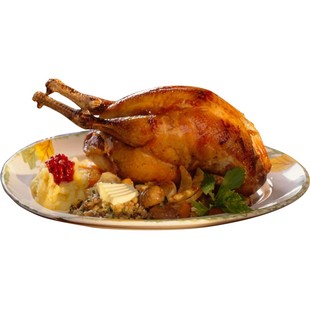 恒蜂源七彩山鸡农家散养精品山区放养鲜美山鸡活鸡土鸡包邮