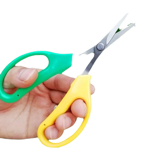 疏果剪子葡萄采摘翘头剪刀不锈钢修水果剪蔬果剪弯尖头园艺小剪