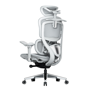 Ergoup/有谱 慧眼A1 人体工学椅办公椅久坐人机工学椅座椅电脑椅