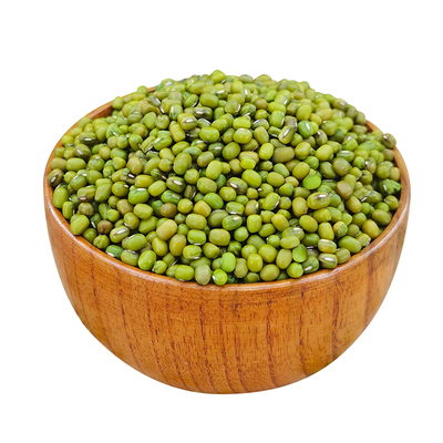 东北绿豆新货农家新鲜小绿豆