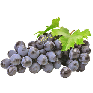 新鲜蓝莓葡萄精品果5斤新鲜应季水果现摘香甜无籽黑提子孕妇整箱