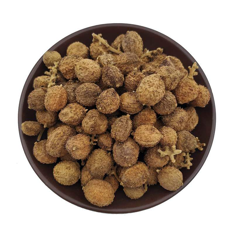 广东阳春春砂仁香辛料味芳香芬烈