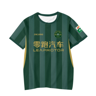 2026赛季浙江俱乐部绿城队球员版足球衣服速干短袖T恤衫男女半袖
