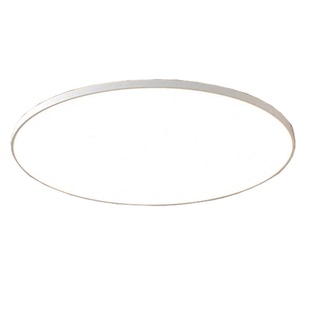 屋檐吸顶灯庭院防水户外阳台室外农村自建房别墅大门门口照明灯具