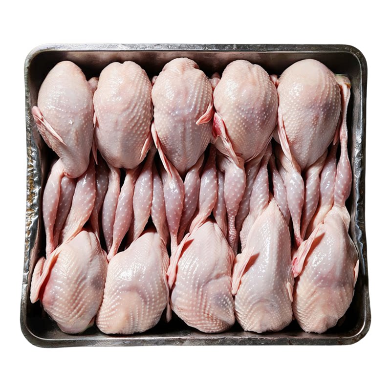 新鲜现杀大母鹌鹑肉冷冻炖汤烧烤