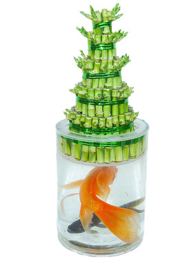 节节高富贵竹竹塔桌面竹子盆栽