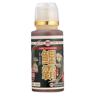 鲤鱼小药黑坑专用套装主攻正钓偷驴滑口回锅鱼饵料促食套餐添加剂